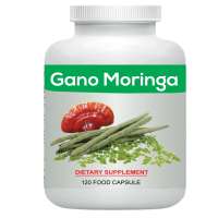 Gano Moringo || গ্যানো মরিঙ্গা 120pcs